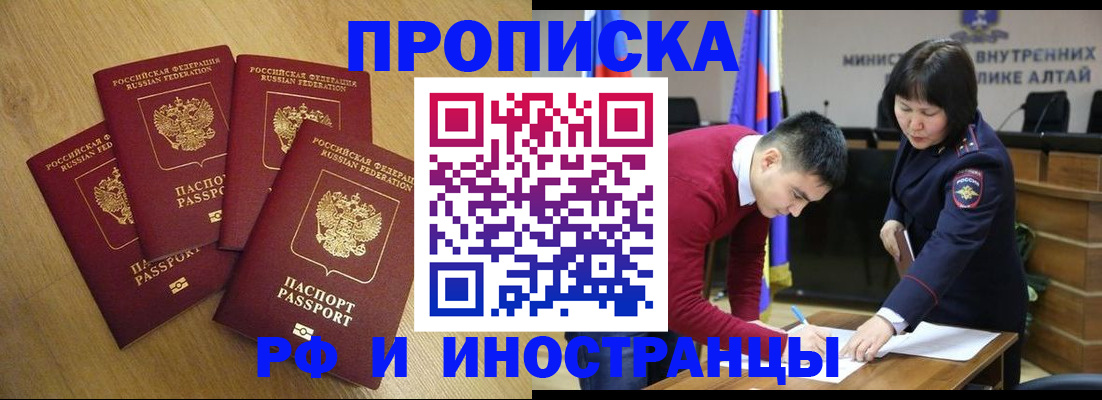 где прописаться в Ельне